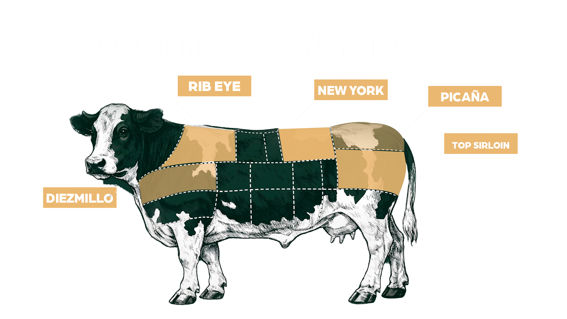 Cortes Premium